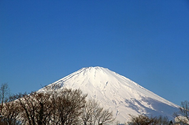 Fuji1102_x640.jpg