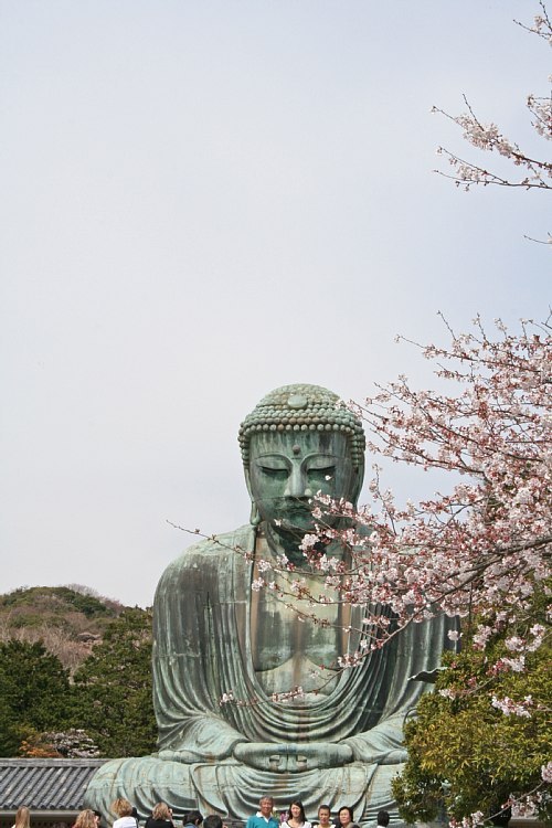 Kamakura08c04_y750.jpg